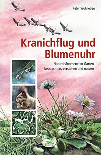 Wohlleben, Kranichflug und Blumenuhr