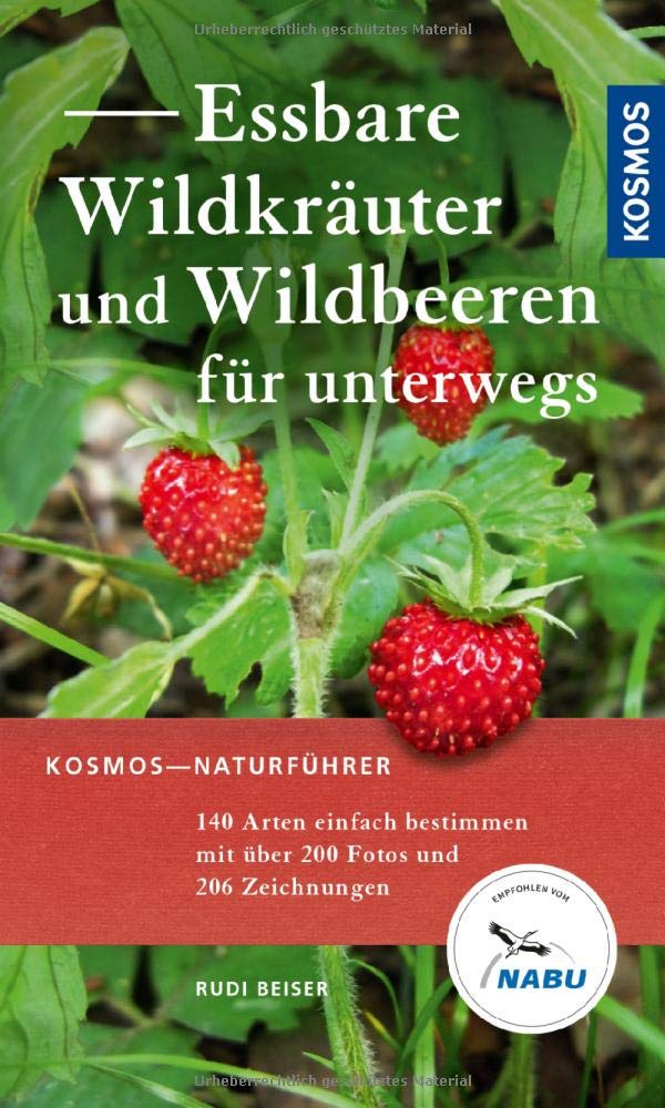 Beiser, Essbare Wildkräuter und Wildbeeren