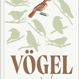 Wernicke	Vögel verstehen