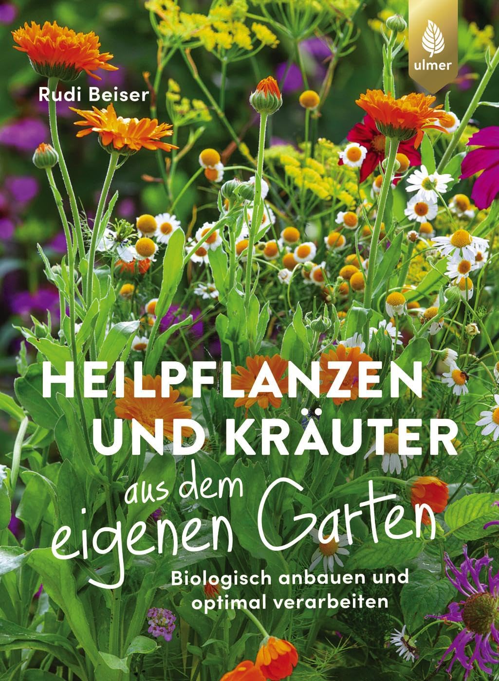 Beiser Heilpflanzen und Kräuter aus dem eigenen Garten