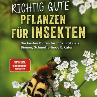 Schwarzer  Richtig gute Pflanzen für Insekten